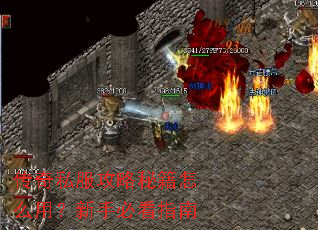 传奇私服攻略秘籍怎么用?新手必看指南 传奇私服攻略秘籍怎么用?新手必看指南