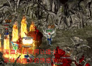 ħѪ��������õ�ʿ�������Ѫ��Ŀ�У�