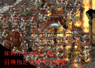 �����HeroM2�����ٻ�ָ��������Ϊ������