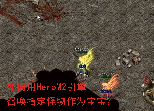 �����HeroM2�����ٻ�ָ��������Ϊ������