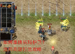 ��ε������껤������ʦ��Ч�򷨹���