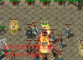 ��ο��ٻ�ȡ���ڸ��Ŵ����еı�ֵװ����