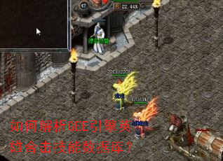 ��ν���GEE����Ӣ�ۺϻ��������ݿ⣿