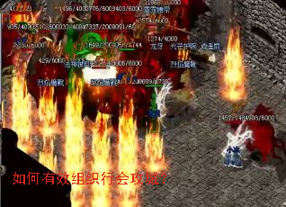 �����Ч��֯�лṥ�ǣ�