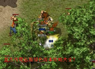 ���Ŵ���˽����ɫ�汾���Դ�ȫ��