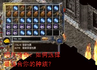 ���´��棺���ѡ�����ʺ�������壿