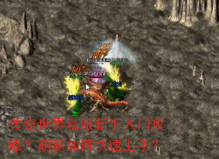 ��������˽���������Ź��ԣ�������ο������֣�