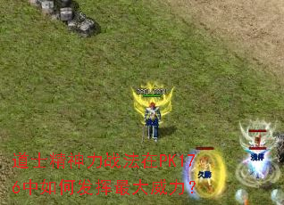 道士精神力战法在PK176中如何发挥最大威力? 道士精神力战法在PK176中如何发挥最大威力?