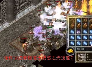 ��ο���������ʿ�ջ�֮�⼼�ܣ�