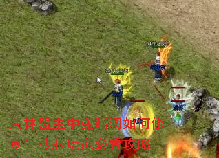 武林盟主中变漏洞如何修复?搜服玩家必看攻略 武林盟主中变漏洞如何修复?搜服玩家必看攻略