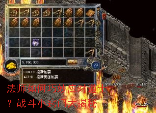 ��ʦ�������Ӧ�Ե�ʿ��ս��С���Ŵ����