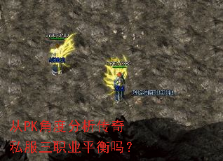 ��PK�Ƕȷ�������˽����ְҵƽ����