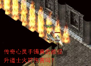 �����������������������ʿ����˺���