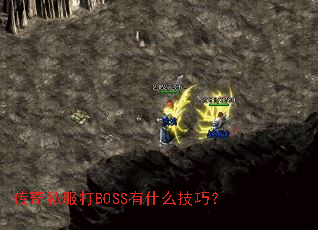 ����˽����BOSS��ʲô���ɣ�