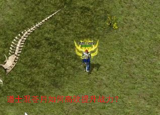 ��ʿ�������θ�Ч����ս����