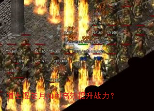 ��ʿ�������θ�Ч����ս����