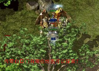 �������������Щ��ͼ����̽����