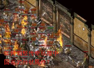 ��ε�������˽���й��ҵ���״���ԣ�