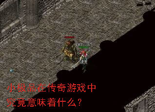 С��Ʒ�ڴ�����Ϸ�о�����ζ��ʲô��