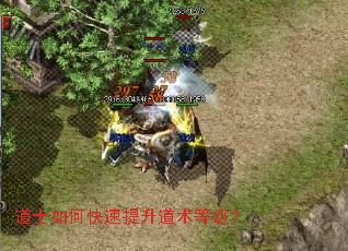 ��ʿ��ο������������ȼ���