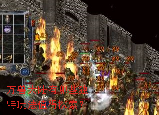 ���޴�½����Щ�����淨ֵ��̽����