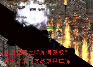 ʥ���Х֮ӡ��λ�ȡ�����Լӳ���ʵսЧ�����