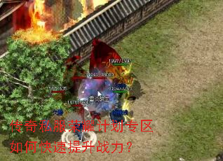 ����˽����ҫ�ƻ�ר����ο�������ս����