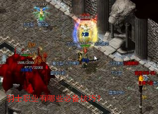 ��ʿְҵ����Щ�ر����ɣ�