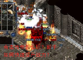 �ϻ�������ô�棿������ο�������ս����