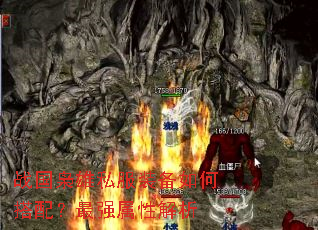 ս������˽��װ����δ��䣿��ǿ���Խ���