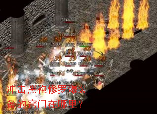 ����������ޱ�װ�������������