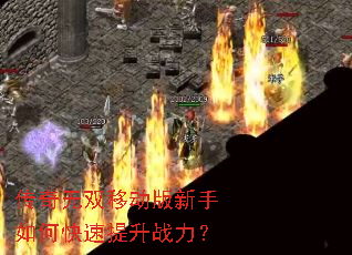 ������˫�ƶ���������ο�������ս����