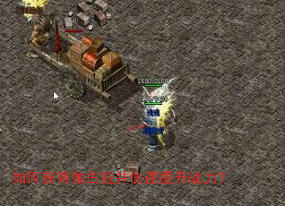 ��λ��٤��������������ս����