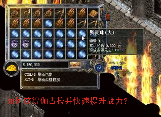 ��λ��٤��������������ս����