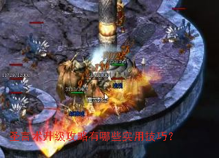 圣言术升级攻略有哪些实用技巧? 圣言术升级攻略有哪些实用技巧?