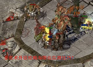 圣言术升级攻略有哪些实用技巧? 圣言术升级攻略有哪些实用技巧?