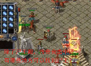 除了尸王殿,传奇合击中还有哪些地方可以找到尸王? 除了尸王殿,传奇合击中还有哪些地方可以找到尸王?