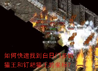 如何快速找到白日门多钩猫王和钉耙猫王的坐标? 如何快速找到白日门多钩猫王和钉耙猫王的坐标?