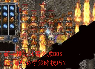 ������ս��ѩ֮��BOSS����Щ��ѧ���Լ��ɣ�