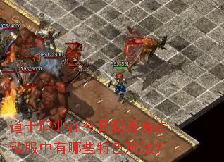 ��ʿְҵ�ڽ����¿��ϻ�˽��������Щ��ɫ�淨��