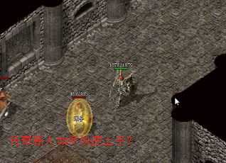 ����������ο������֣�