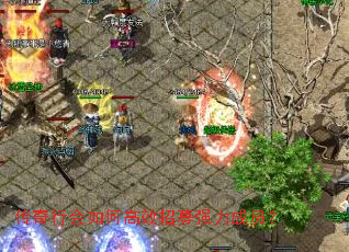 �����л���θ�Ч��ļǿ����Ա��