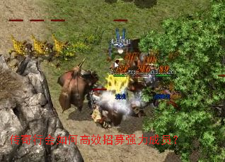 �����л���θ�Ч��ļǿ����Ա��