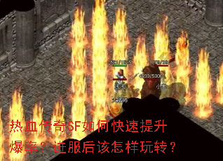 ��Ѫ����SF��ο����������ʣ��������������ת��