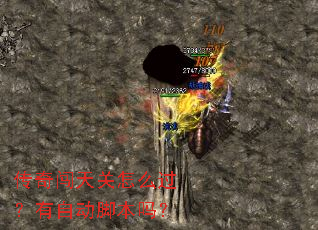 ���洳�����ô�������Զ��ű���