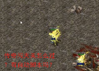 ���洳�����ô�������Զ��ű���