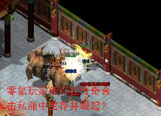 �������ܷ��ڴ���ϻ�˽�������沢����