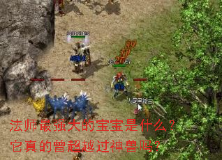 ��ʦ��ǿ��ı�����ʲô�����������Խ��������