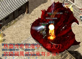 ��Ѫ����˽���У����������������Ծ����ж�ǿ��