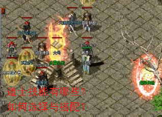 ��ʿ��������Щ�����ѡ������䣿